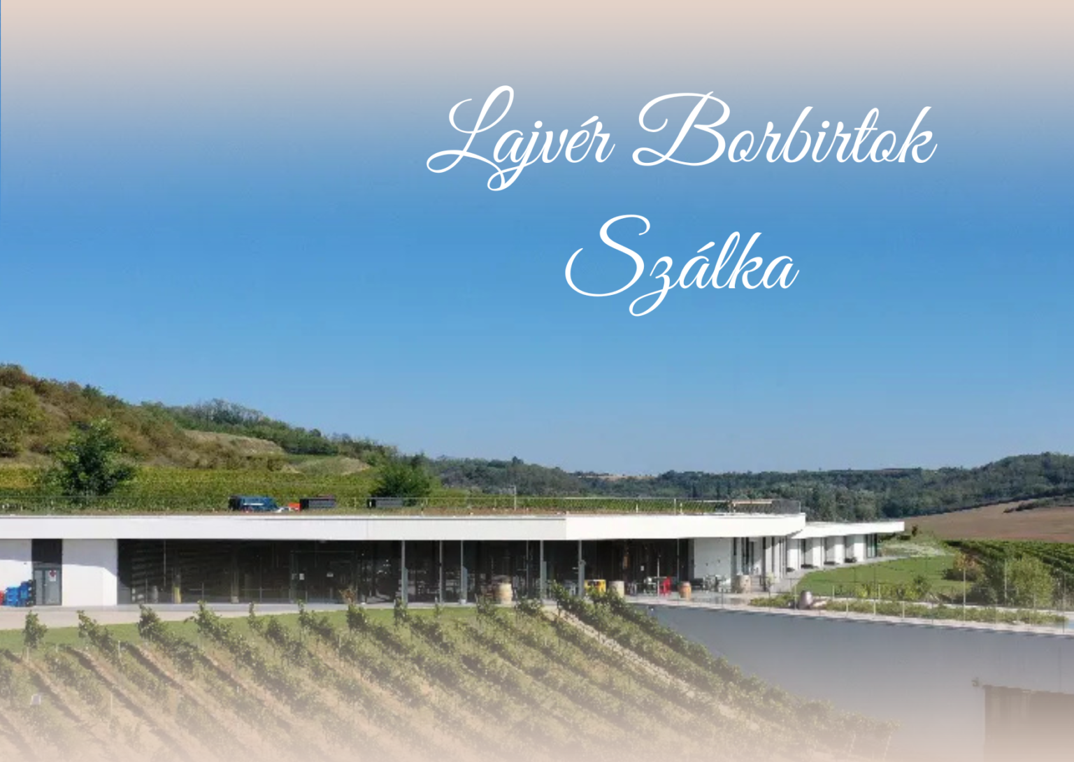 Black Gold Simple Luxury Thank You Card